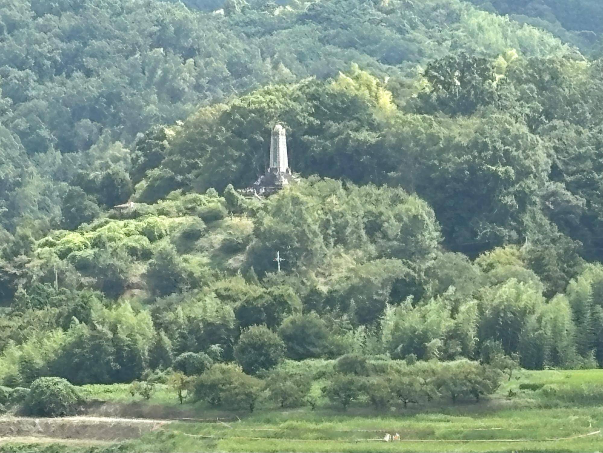 下赤阪の棚田と下赤坂城跡