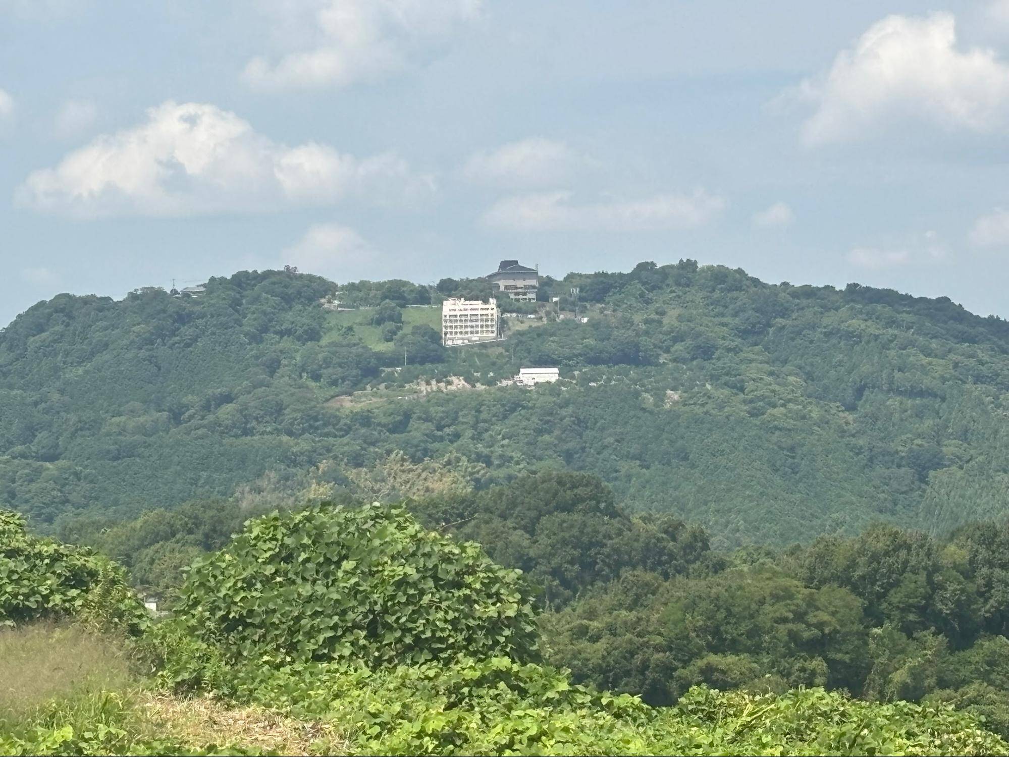 下赤阪の棚田と下赤坂城跡