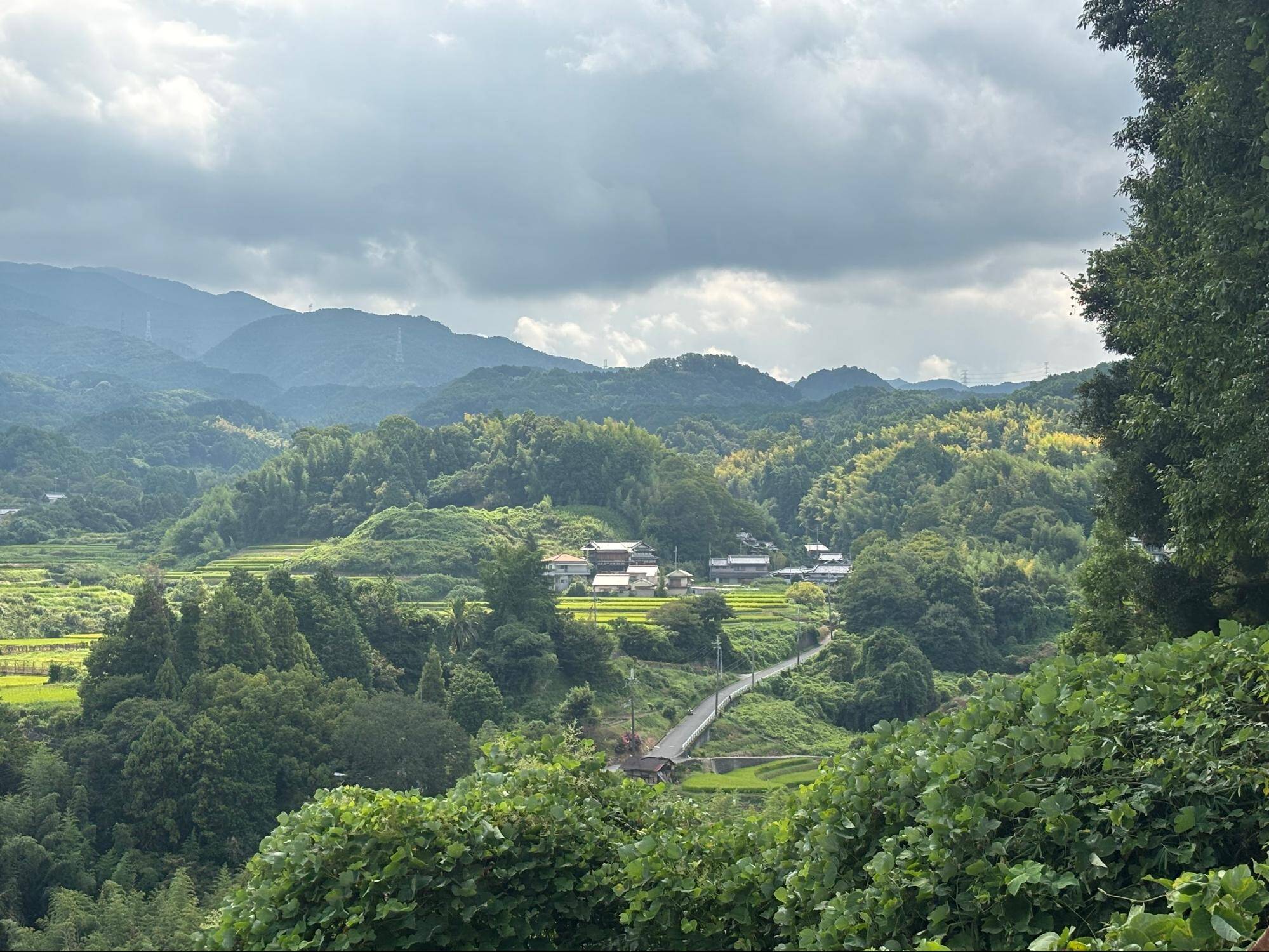 下赤阪の棚田と下赤坂城跡