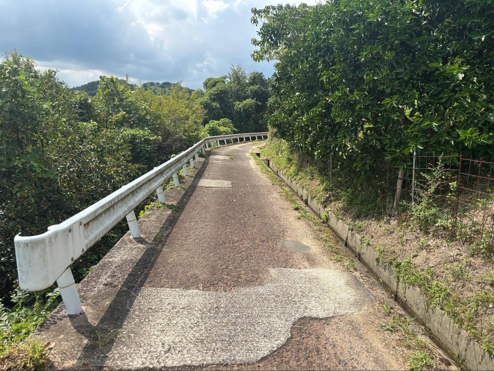 下赤阪の棚田と下赤坂城跡
