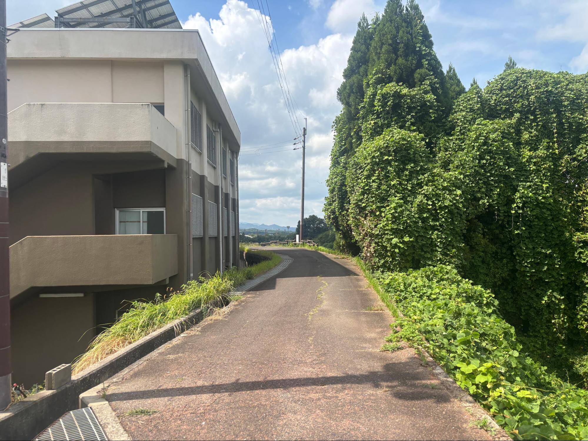 下赤阪の棚田と下赤坂城跡