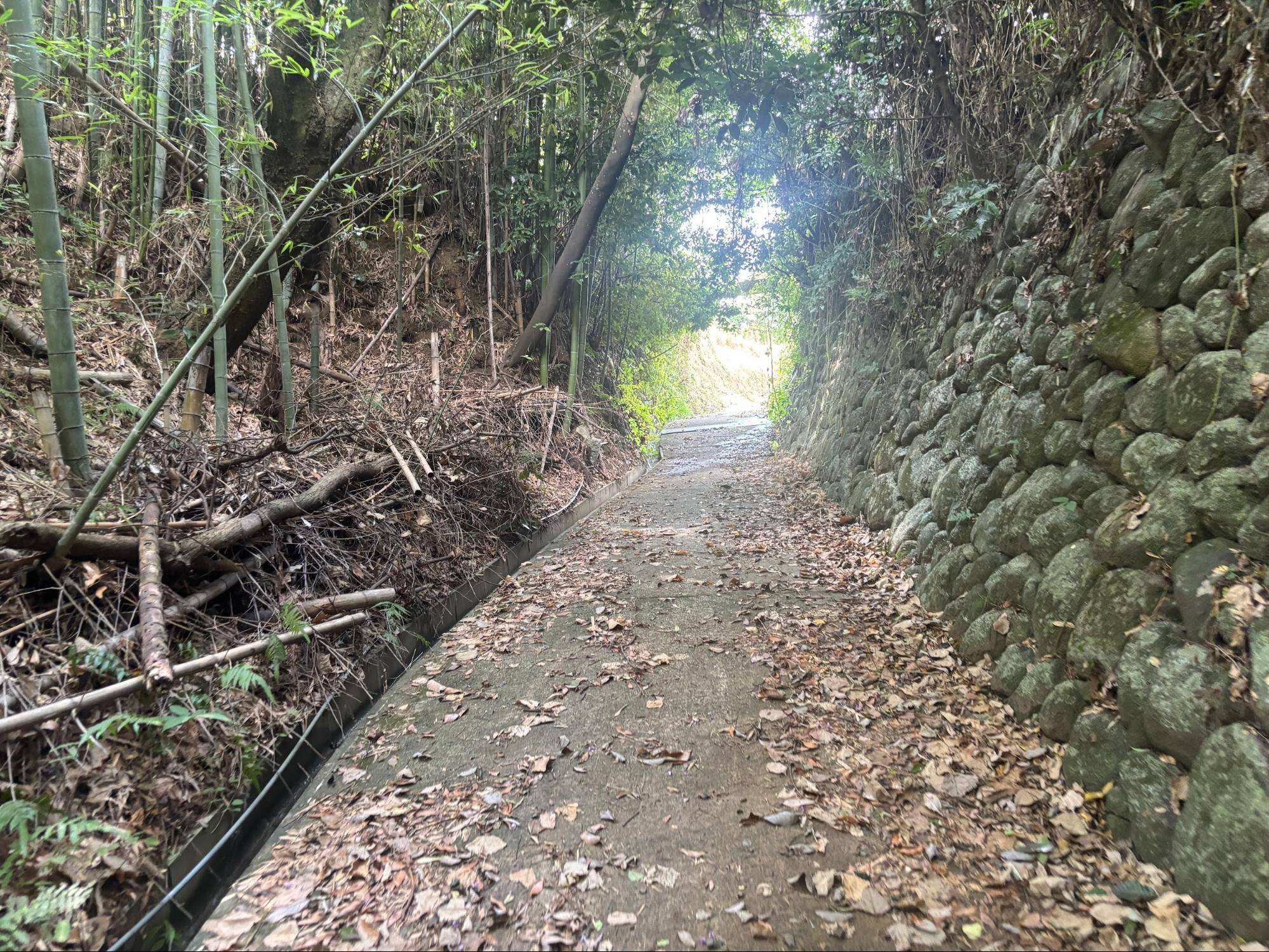 下赤阪の棚田と下赤坂城跡