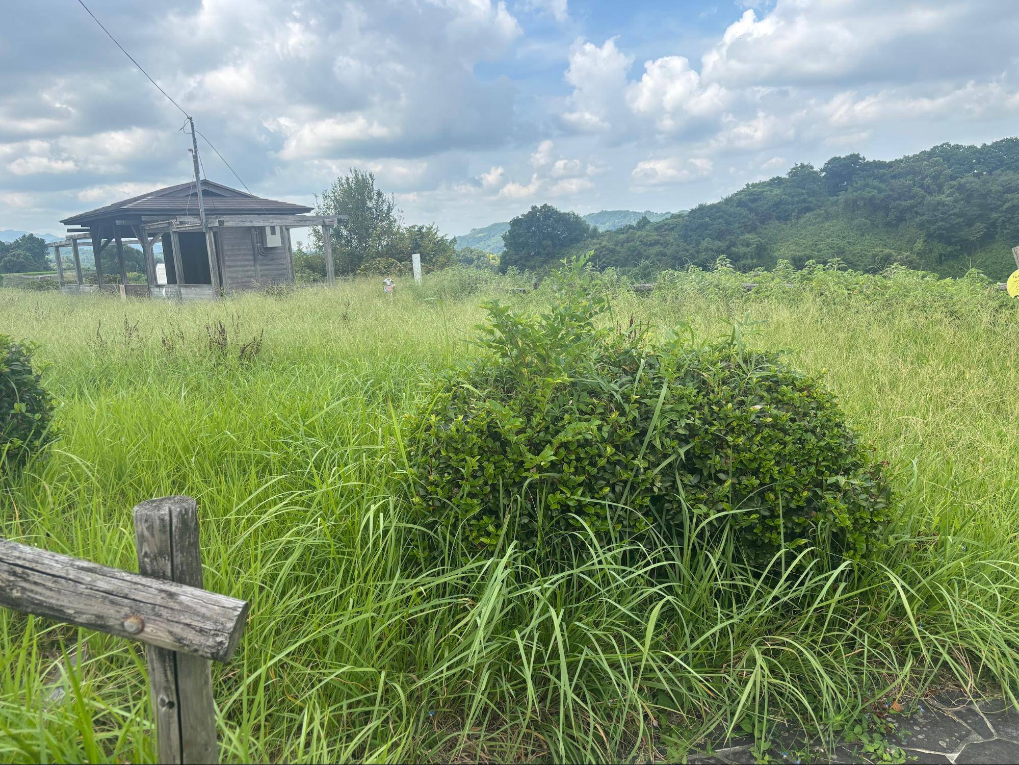 下赤阪の棚田と下赤坂城跡