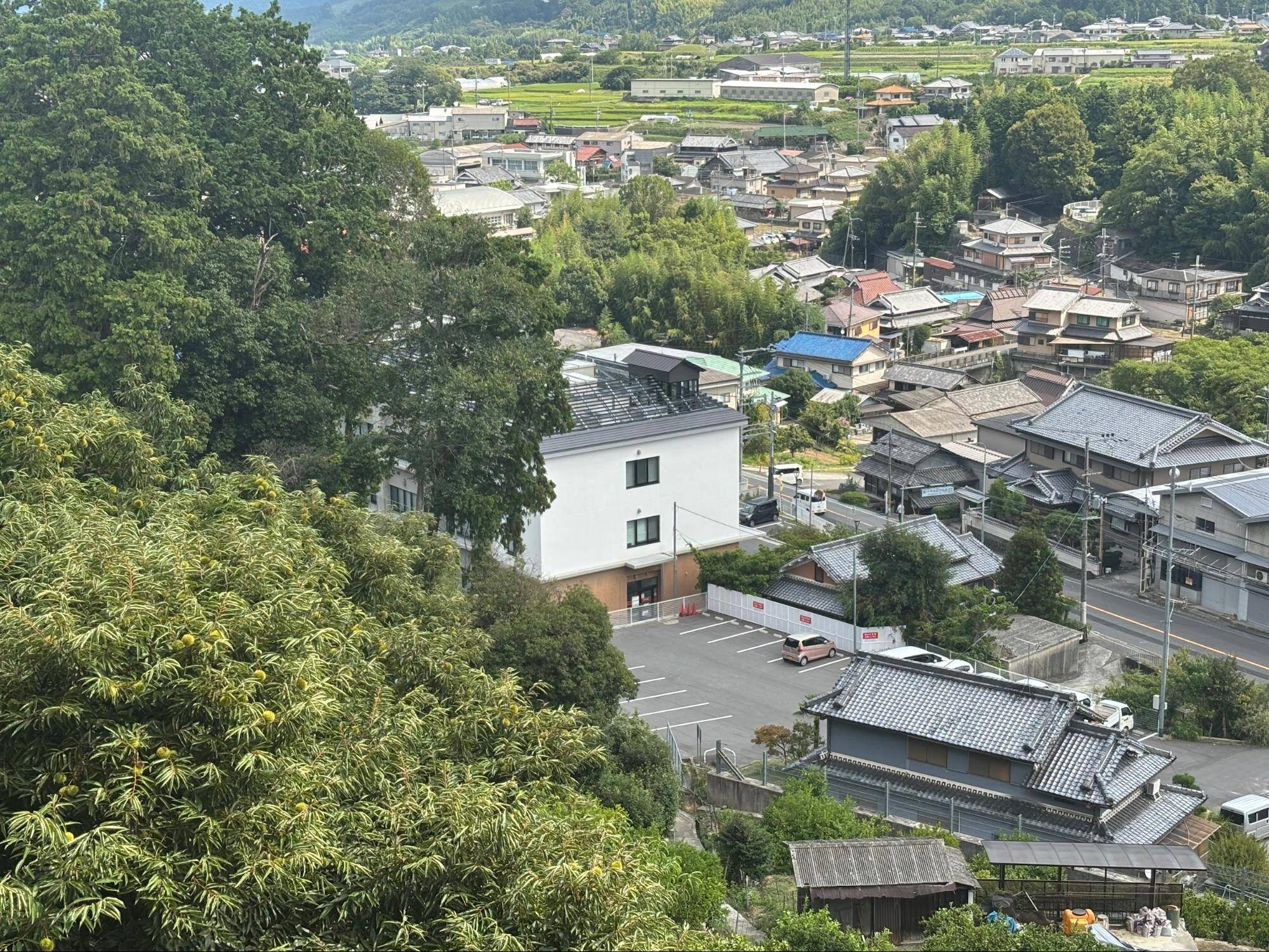 下赤阪の棚田と下赤坂城跡