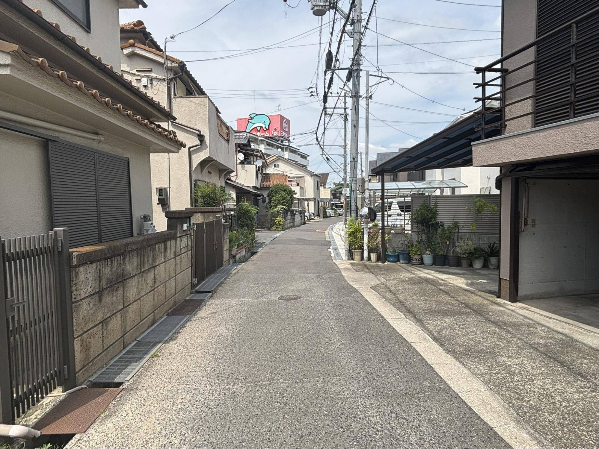 夜鳴石