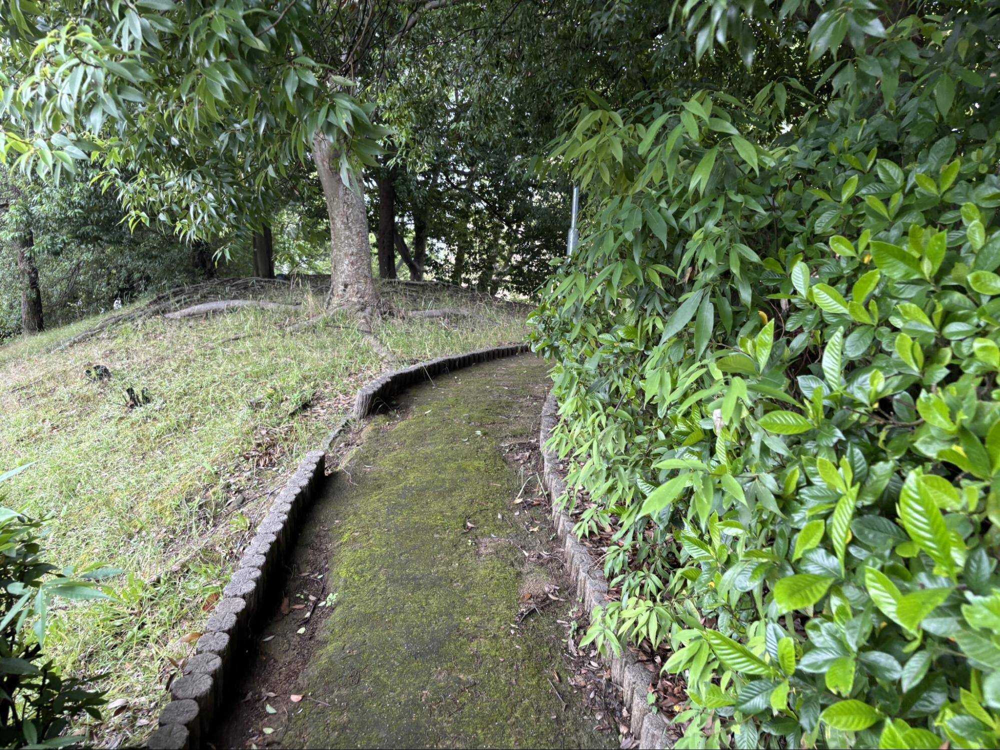 児童公園(墓地公園)