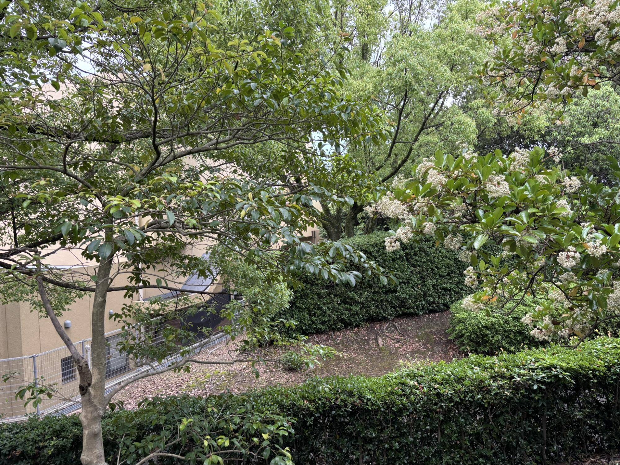 児童公園(墓地公園)