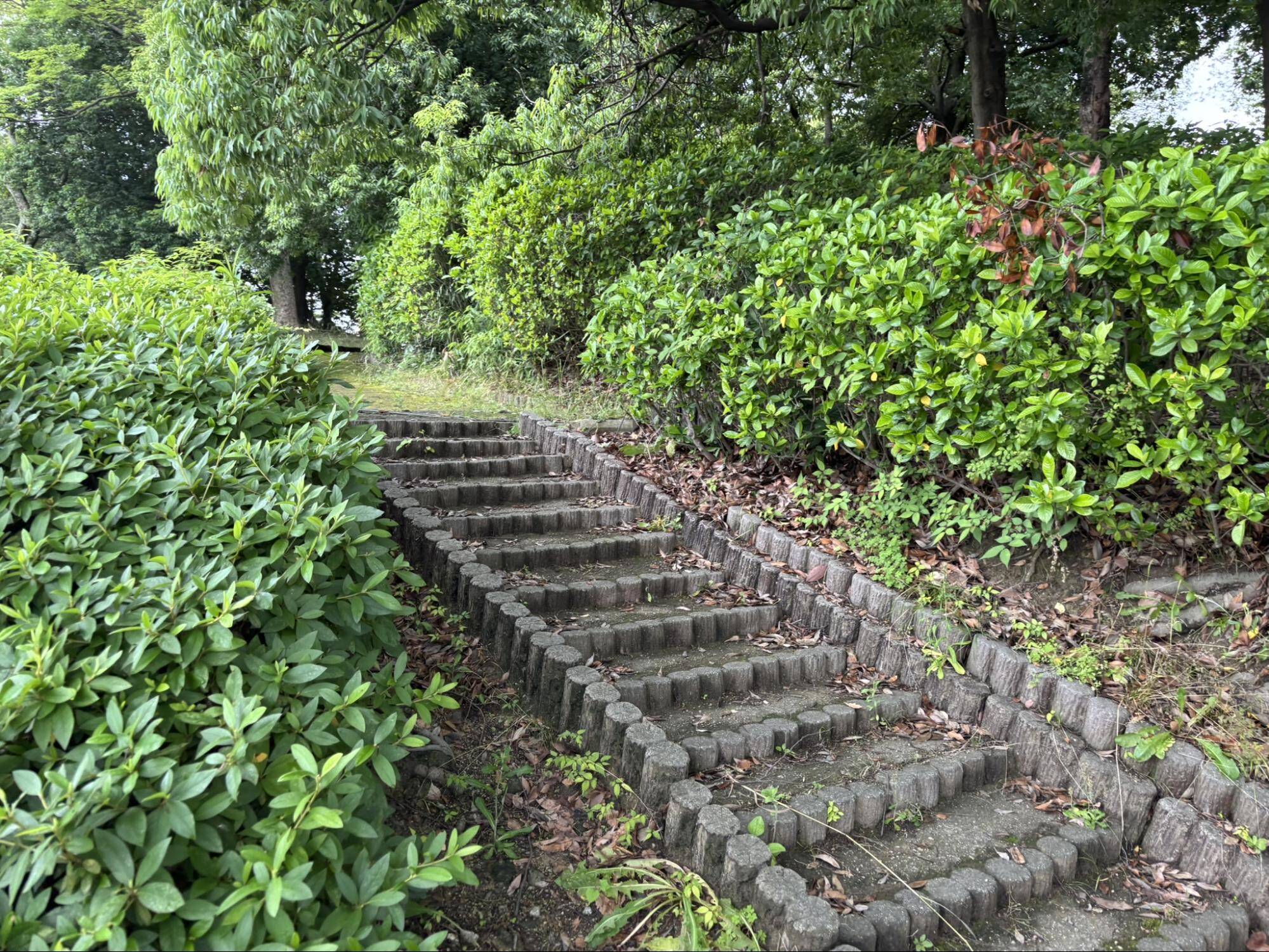 児童公園(墓地公園)