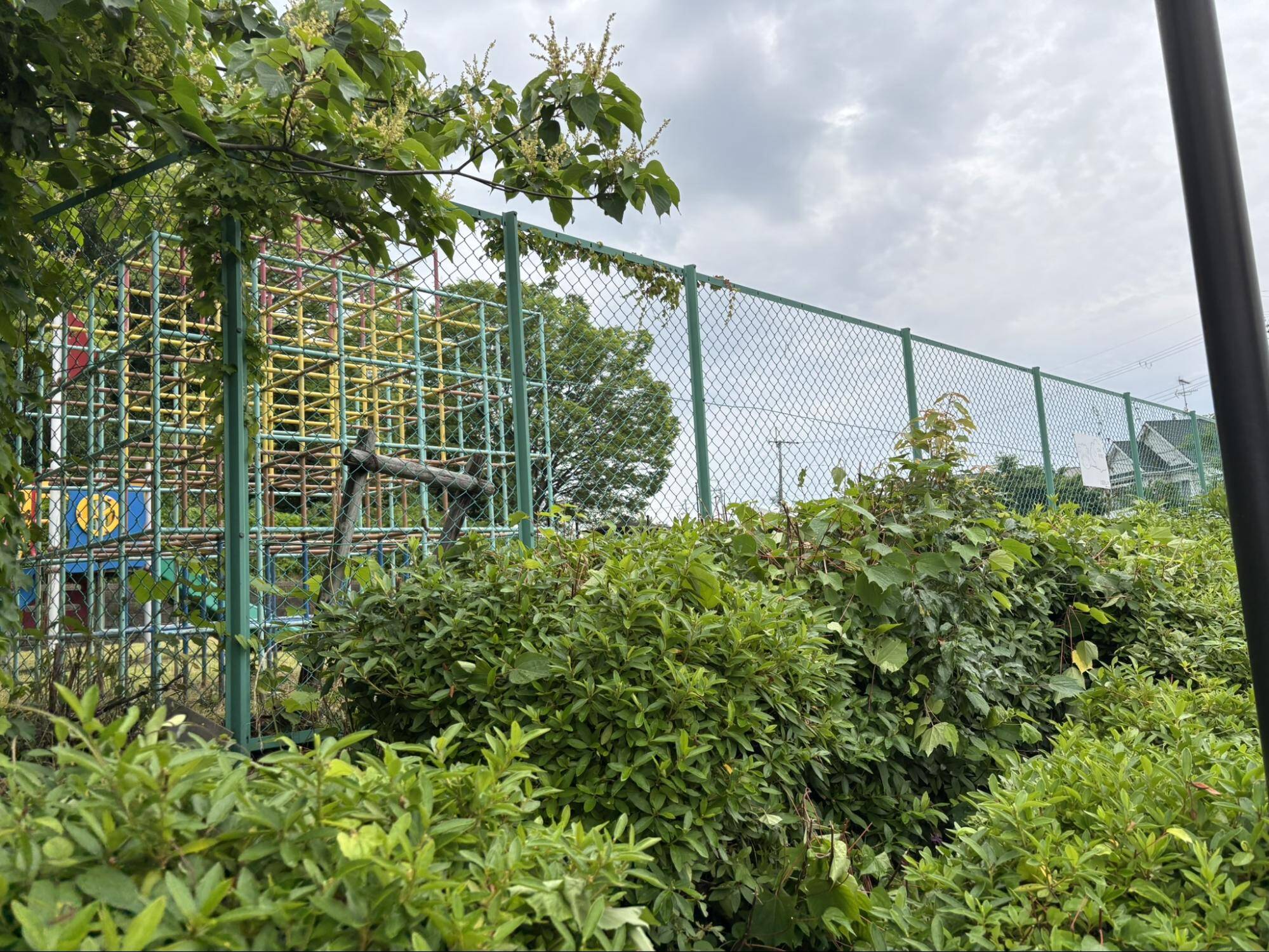 児童公園(墓地公園)