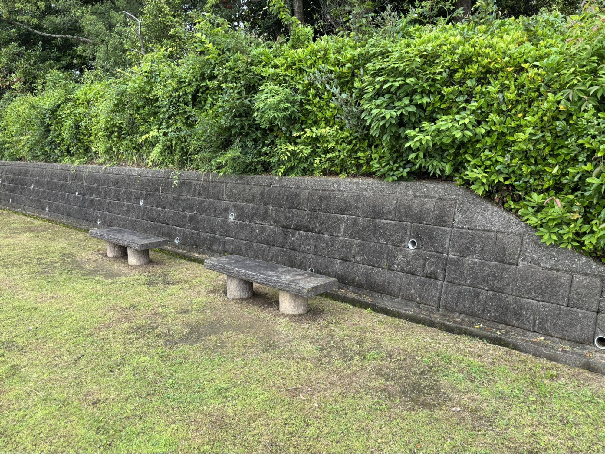 児童公園(墓地公園)