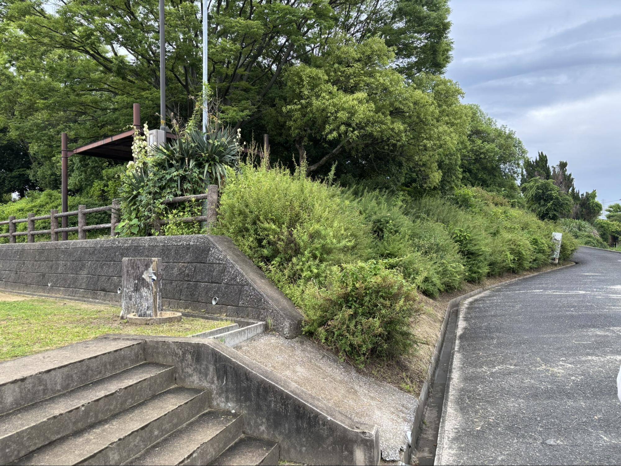 児童公園(墓地公園)