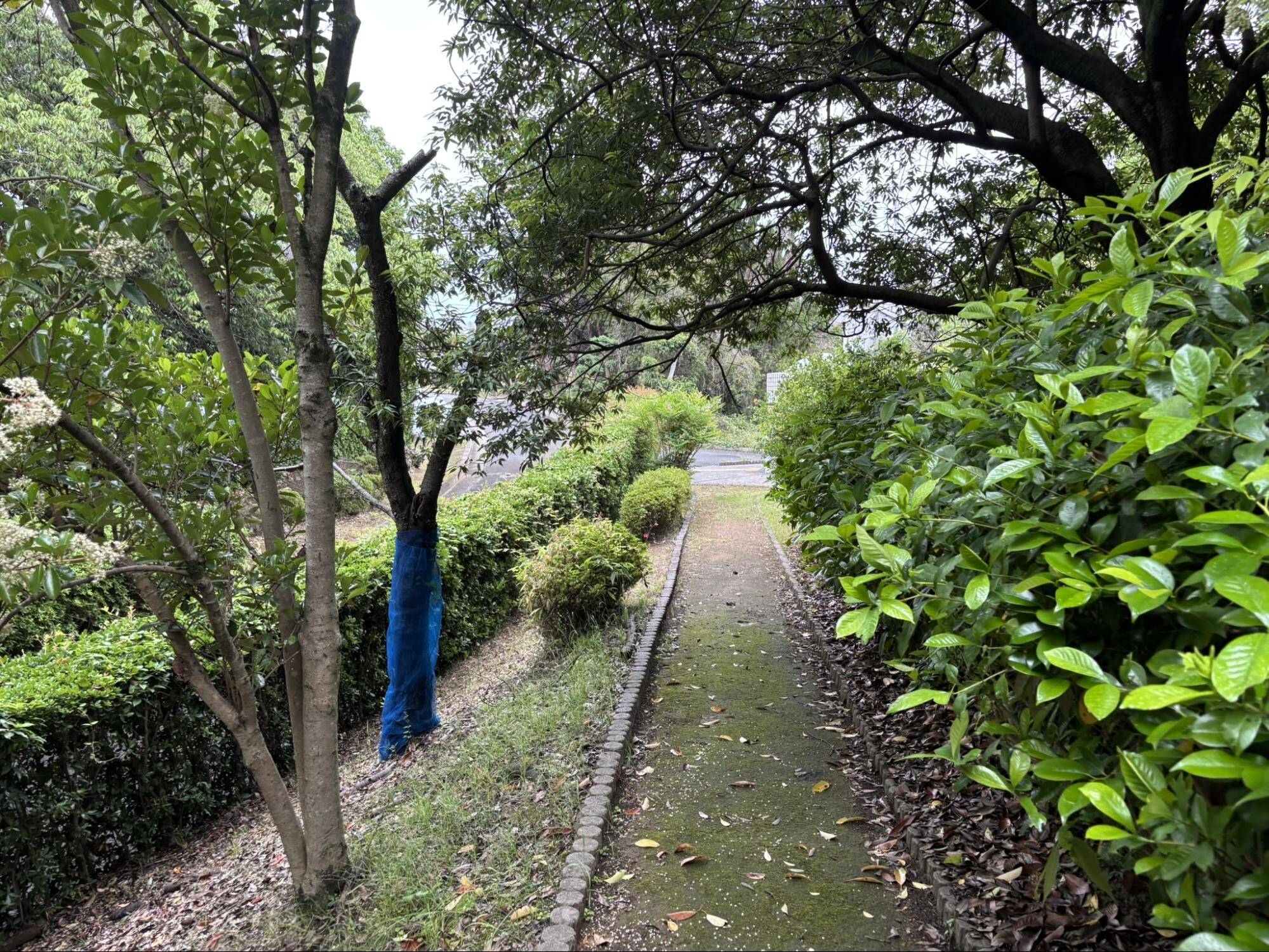 児童公園(墓地公園)