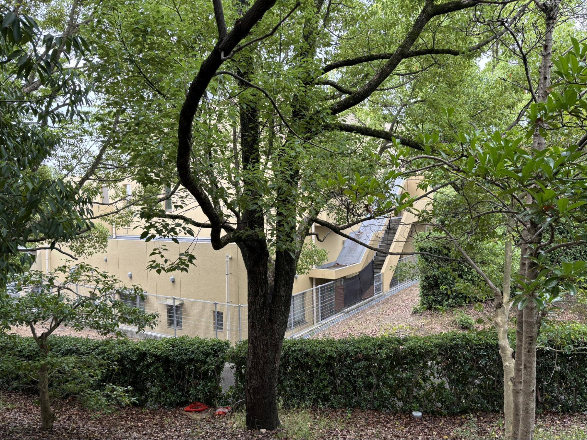 児童公園(墓地公園)