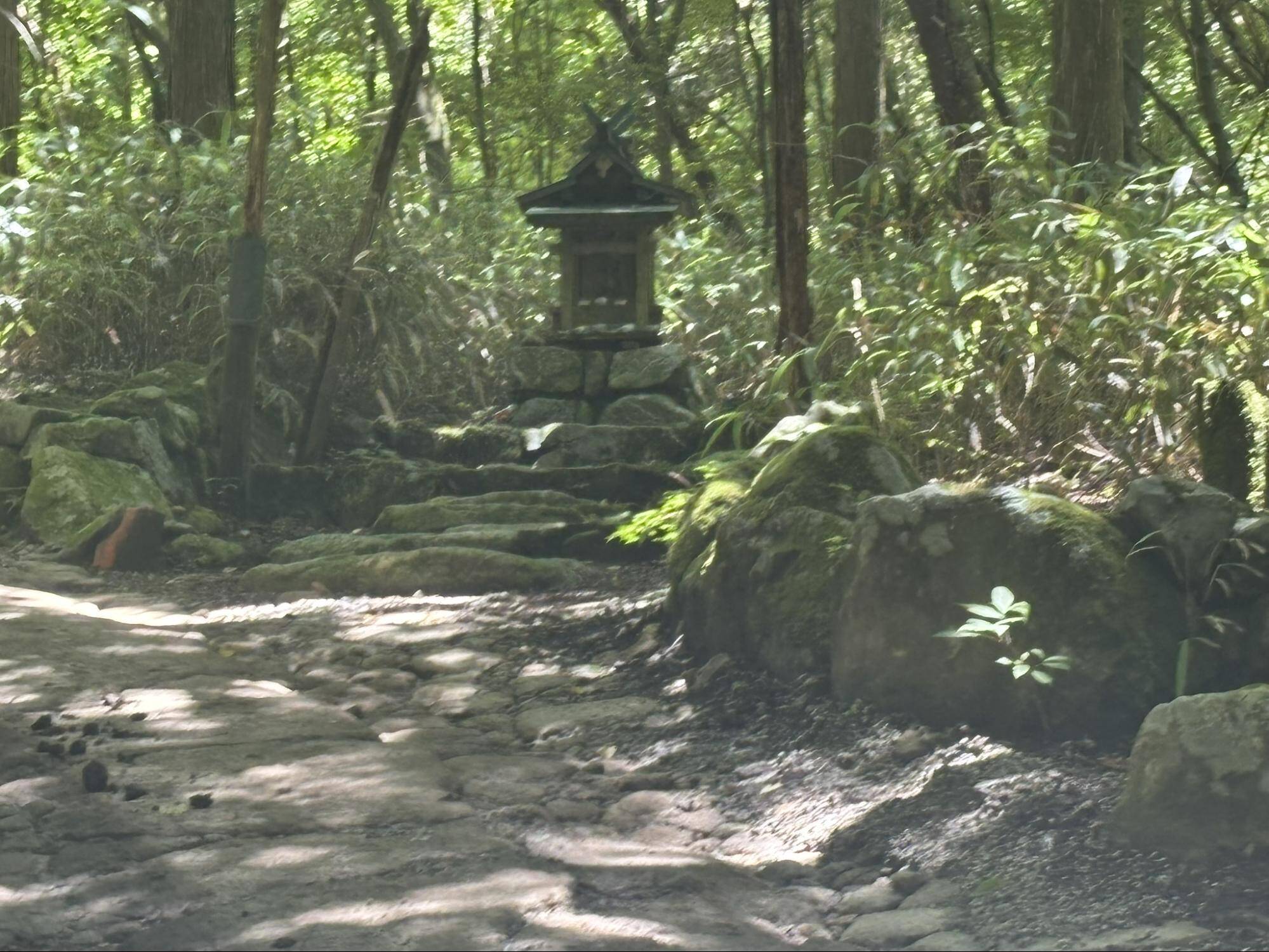 伏見ルート念仏坂の上にある祠
