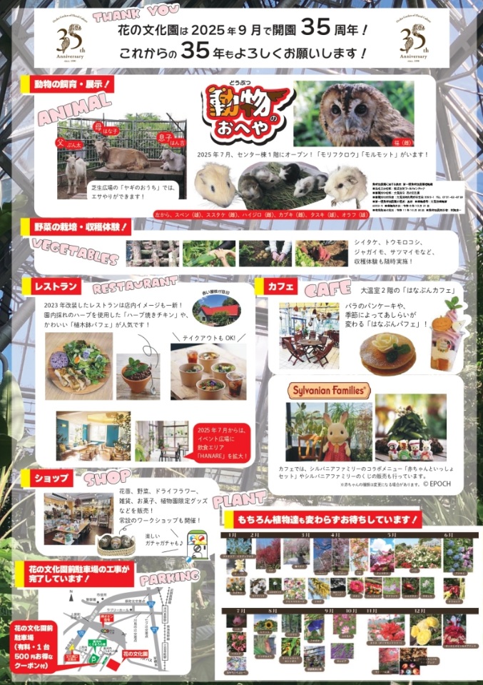はなぶんマルシェのチラシ