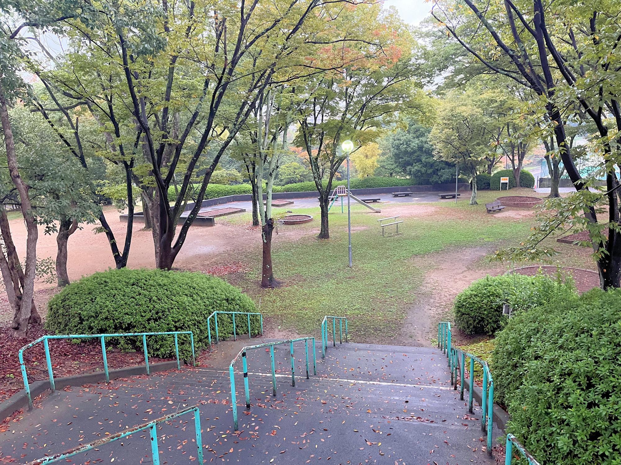 金剛中央公園