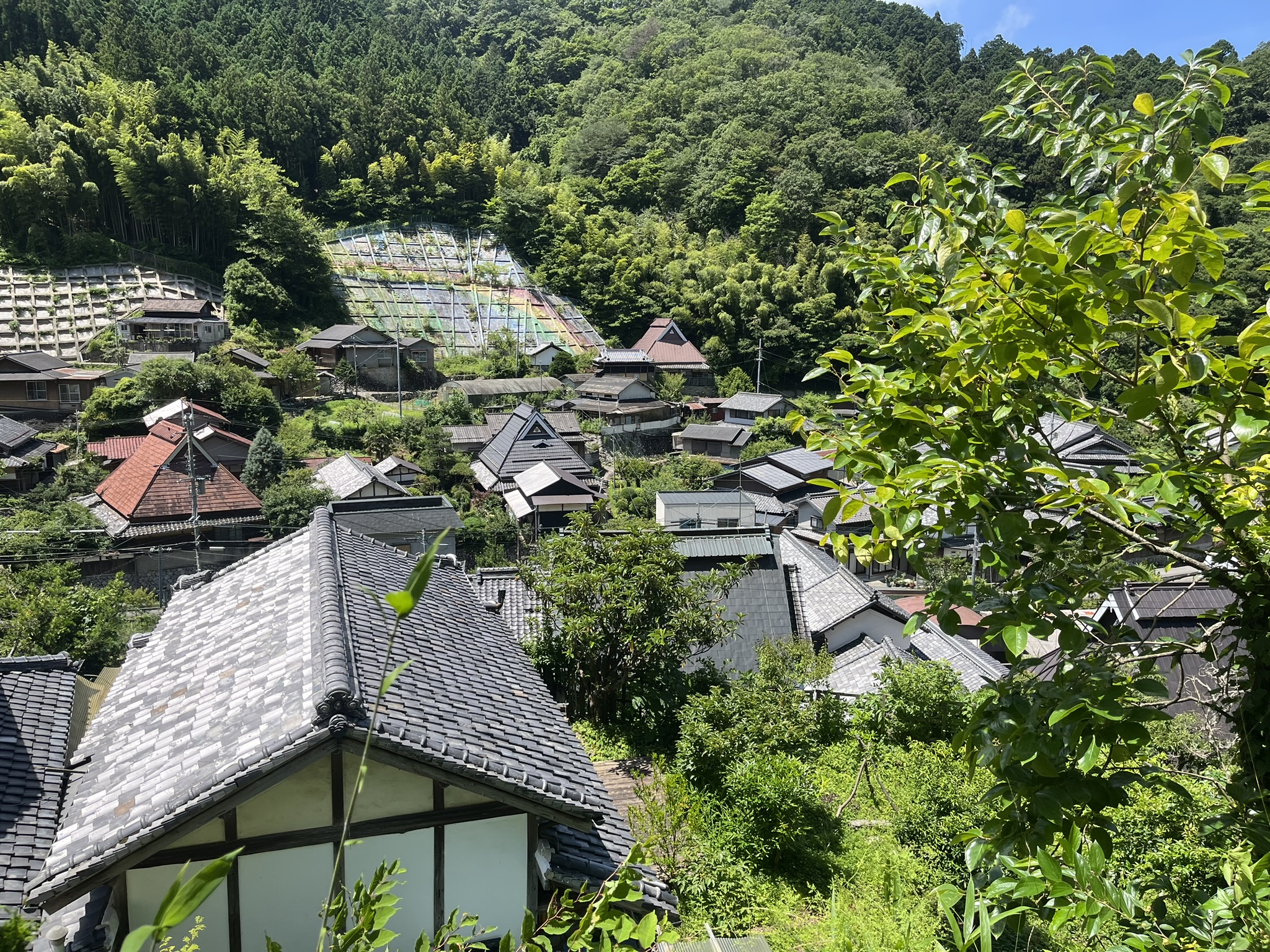 9月9日